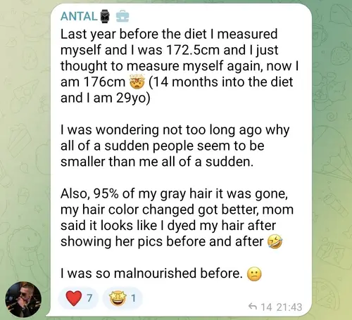 Antal testimonial screenshot 1