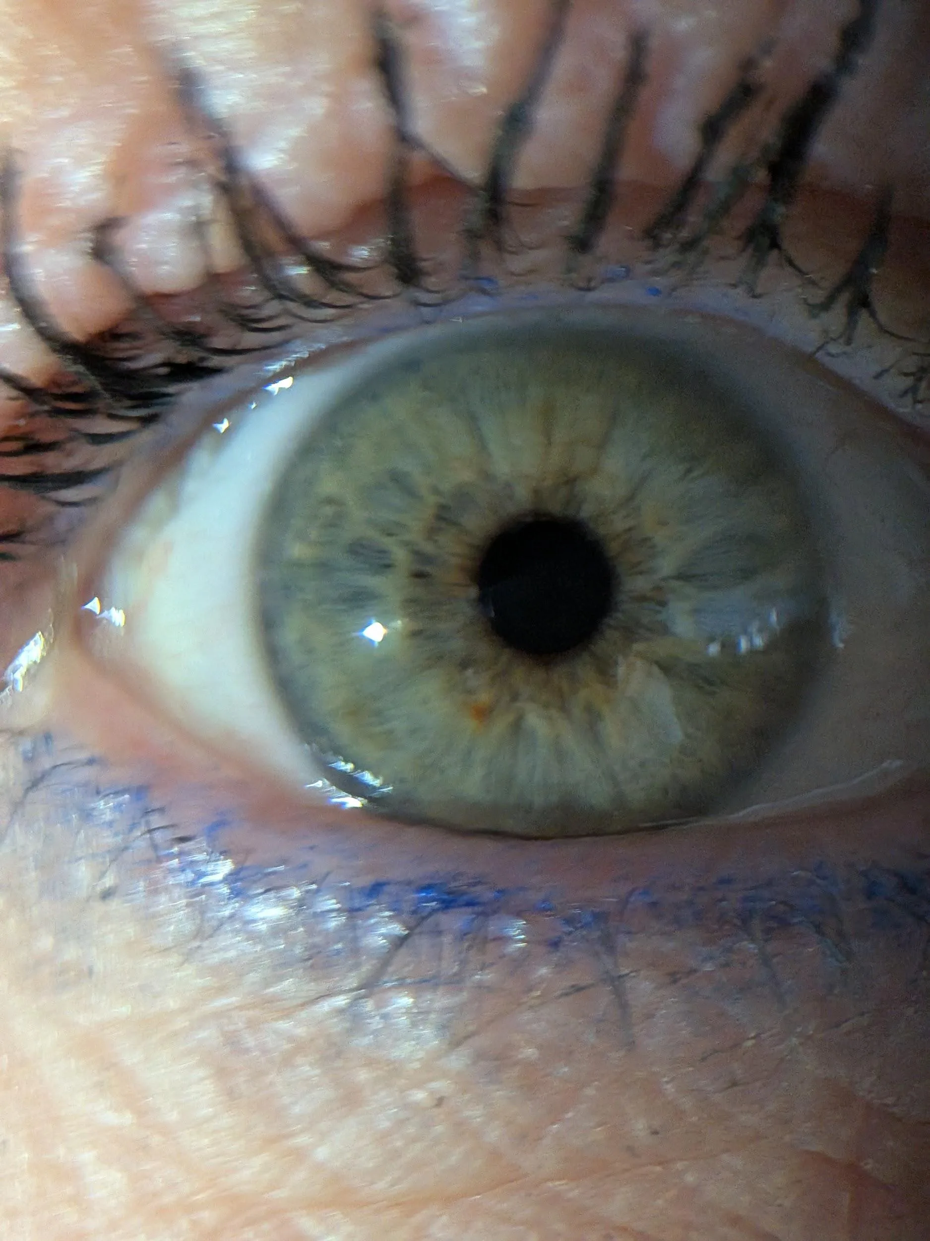 Green eye close-up