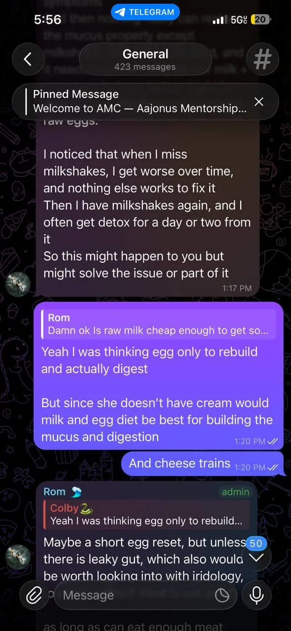 Group chat discussing milkshakes, detox, and building an egg and milk diet