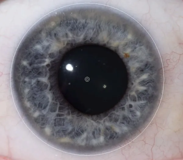 Close-up iris photograph with a white circle overlay marking the minimum acceptable crop boundary