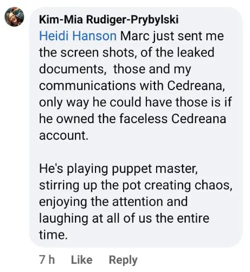 Screenshot of Kim Mia comment confirming the leaked documents were real and accusing the Cedreana account