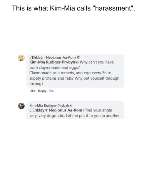 Kim Mia follow-up evidence screenshot, part 2