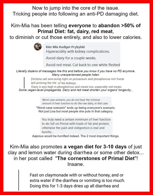 Kim Mia follow-up evidence screenshot, part 7