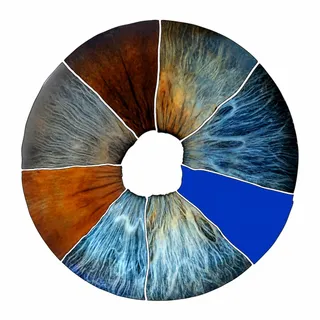Oliver Iridology logo