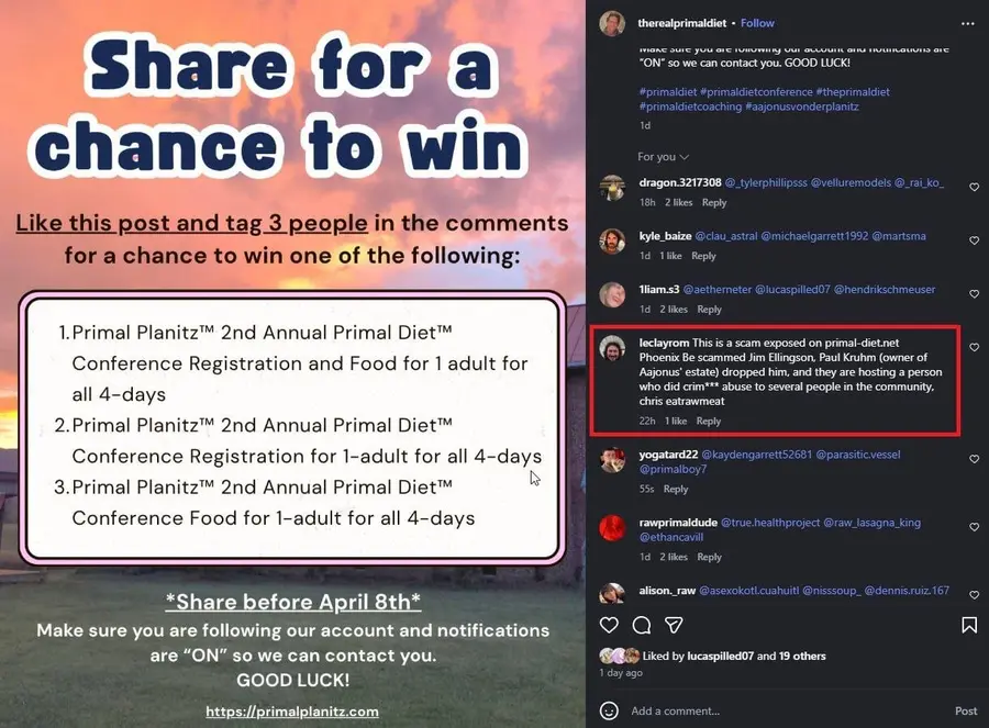 Screenshot of an Instagram giveaway post with a comment warning that Phoenix is a scam and mentioning Chris eatrawmeat