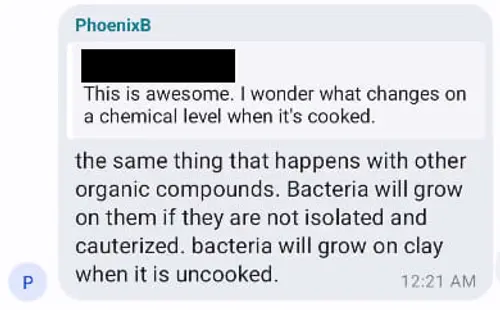 Screenshot of a PhoenixB message about chemical changes and bacteria growing on clay