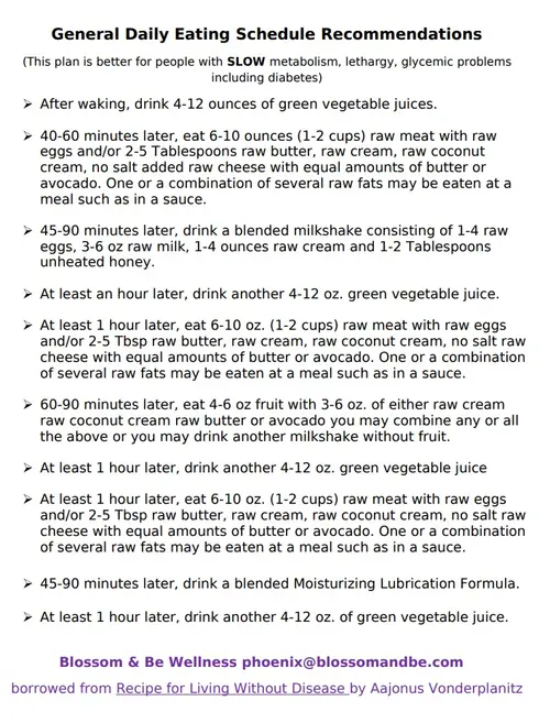 Screenshot of Phoenix copying a general eating schedule page