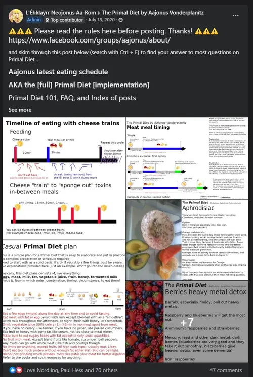 Screenshot of Primal Diet 101 content