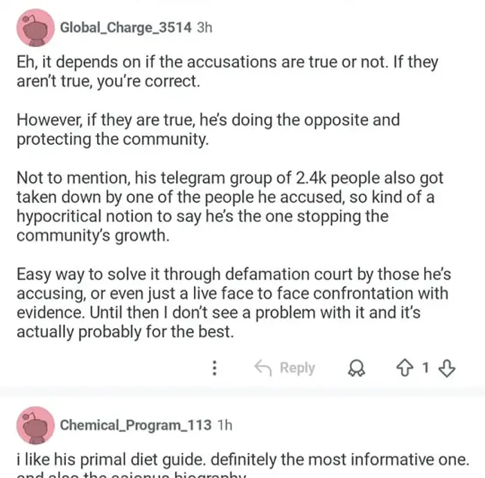 Screenshot of Reddit replies defending Rom after an anonymous attack post